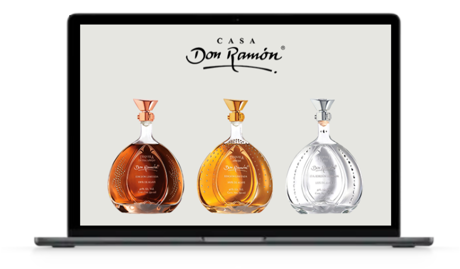 Newsletters Editoriales